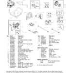BRIGGS AND STRATTON, 020275, IPL.2 thumbnail